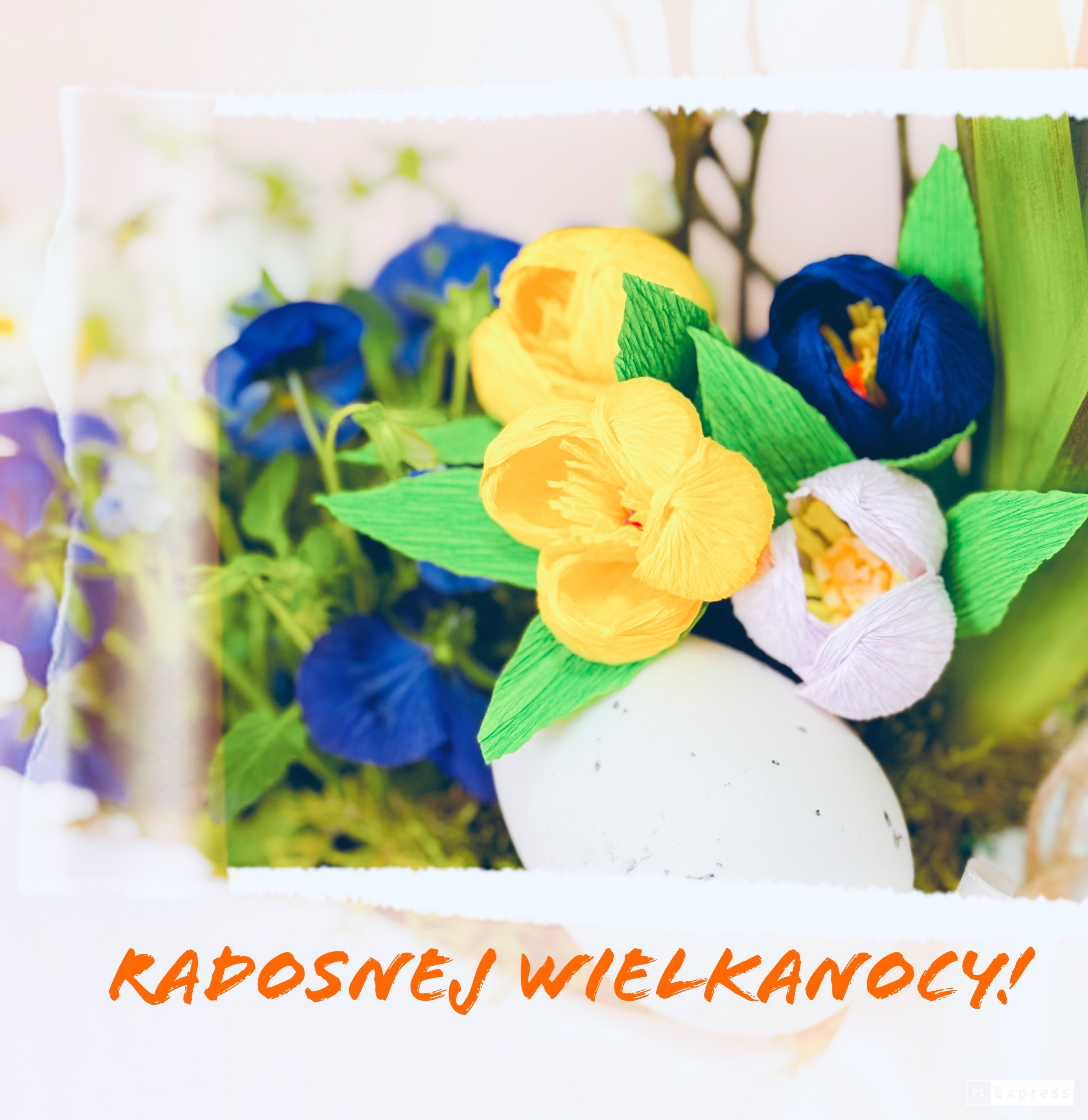 Radosnej Wielkanocy!